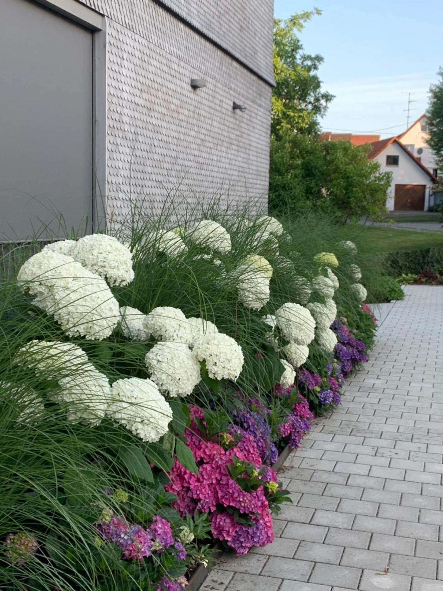 Ferienwohnung Trilogie Am See - Maulbeere Stetten  Exterior foto